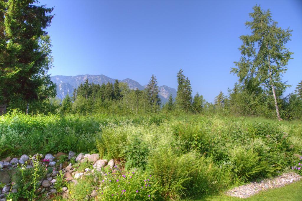 Ferienwohnung Haus Rieder Inzell Dış mekan fotoğraf