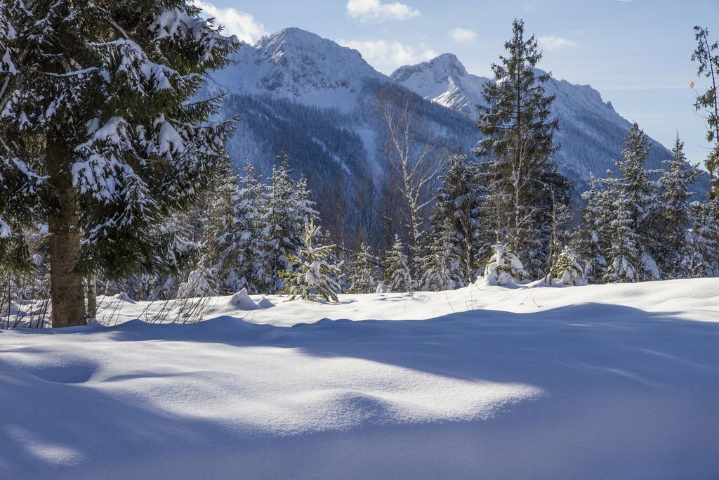 Ferienwohnung Haus Rieder Inzell Dış mekan fotoğraf